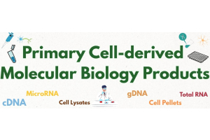 Primary Cell-derived Molecular Biology Products